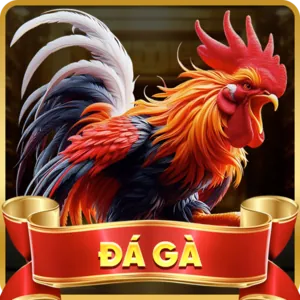 Mã hóa dữ liệu mạnh mẽ của m99 bet