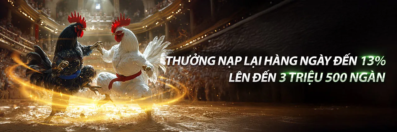 Đá gà trực tuyến kịch tính tại m99 bet